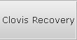 Clovis Recovery